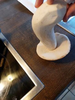 Tadelloser Steinpilz; Foto Ivanka 19.11.25