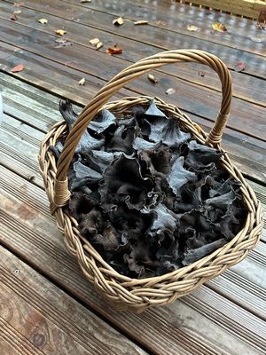 Korb voller Totentrompeten; Foto Patrick 4.11.25