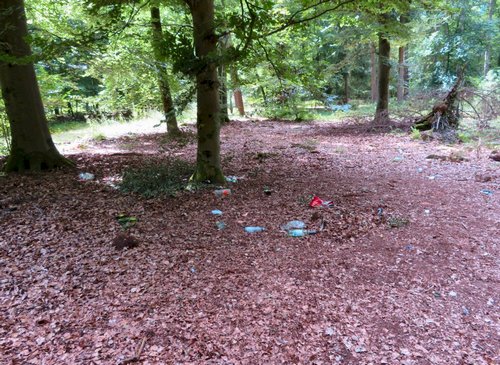 Beschämende Hinterlassenschaft von Waldverschmutzern; Foto Michael © 3.8.2021