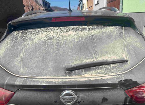 Zeugnis des total trockenen Waldes: Heikes Heckscheibe nach nur 2 Kilometern sehr langsamer Fahrt durch ihr Jagdrevier; Foto Heike 11.4.25