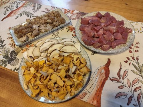 Die in Scheiben geschnittenen bzw. zerkleinerten Pilze und Geschnetzeltes vom Balver Strohschwein; Foto Michael 14.9.25