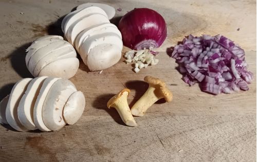 Zutaten mit Champignons ,2 Pfifferlingen und Zwiebel; Foto Thomas 8.6.26 Zutaten mit Champignons ,2 Pfifferlingen und Zwiebel; Foto Thomas 8.6.26