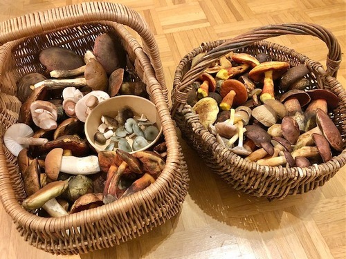 Zwei prachtvolle Pilzkörbe Zwei prachtvolle Pilzkörbe