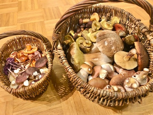 2Körbe Thomas 3.10.22 2Körbe Thomas 3.10.22