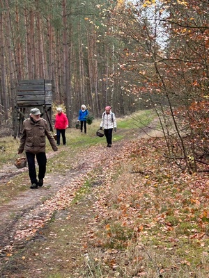Vier Pilzsammler auf Waldweg; Foto Klaus 19.11.23