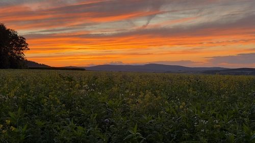 Abendrot überm Fichtelgebirge; Foto Markus 16.9.26 Abendrot überm Fichtelgebirge; Foto Markus 16.9.26