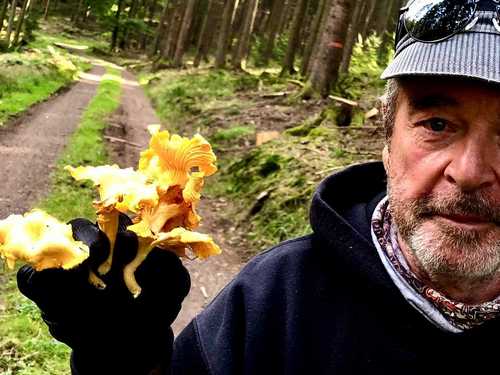 Aprikosenpfifferlinge mit Finder Michael; Foto Michael R. 3.10.23 Aprikosenpfifferlinge mit Finder Michael; Foto Michael R. 3.10.23