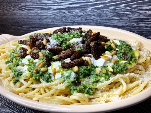 Spaghetti mit frischem Bärlauchpesto und Spitzmorcheln; Foto Stefan 17.2.24 Spaghetti mit frischem Bärlauchpesto und Spitzmorcheln; Foto Stefan 17.2.24