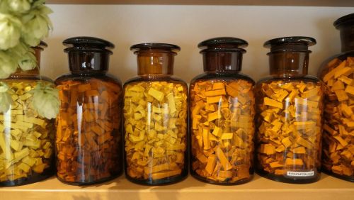 Birkenporlingestücke in Gläsern; Foto Christine 21.11.25