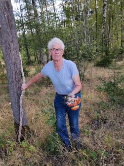 Bernd mit einem Bündel Birkenrotkappen; Foto Monika 5.9.26