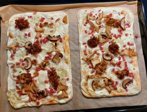 Flammkuchen mit Pilzen; Foto Martina 14.9.26 Flammkuchen mit Pilzen; Foto Martina 14.9.26