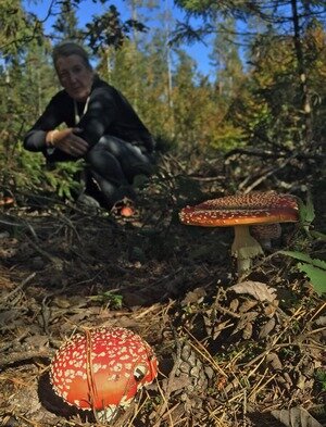 Fliegenpilze Hannes 17.10.22