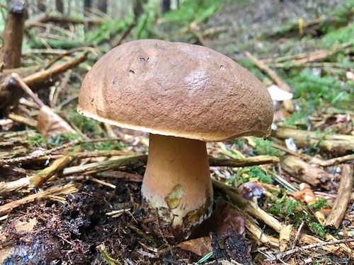 Flocki1 Thomas 3.10.22 Flocki1 Thomas 3.10.22