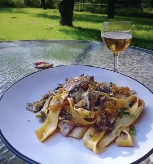 Flockenstielige Hexenröhrlinge mit Bandnudeln; Foto Thomas 27.7.25 Flockenstielige Hexenröhrlinge mit Bandnudeln; Foto Thomas 27.7.25