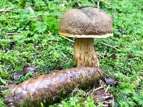 Flocki2 Thomas 3.10.22 Flocki2 Thomas 3.10.22