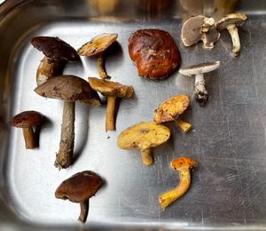 Fund nach erstem Regen; Foto Daniel 10.10.26