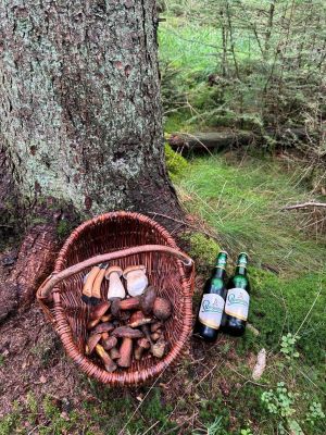 Stilllleben mit Steinpilzen und Flockenstieligen Hexen, Pilzmessern und Bierflaschen; Foto Dirk 19.9.25 Stilllleben mit Steinpilzen und Flockenstieligen Hexen, Pilzmessern und Bierflaschen; Foto Dirk 19.9.25