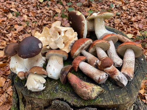 Fund Heiko 1.11.2022 Fund Heiko 1.11.2022