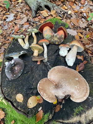 Fund Heiko 20.10.22 Fund Heiko 20.10.22