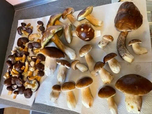 Fund Jens 10.10.22 Fund Jens 10.10.22