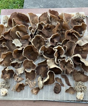 Fund Konrad 6.4.23 Fund Konrad 6.4.23