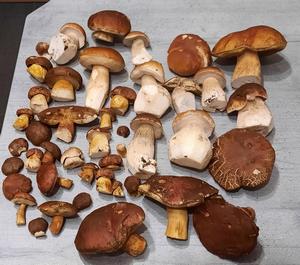 Fund von Martin; Foto Martin 12.11.23