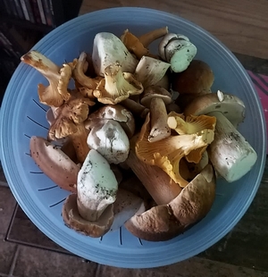 Fund Matze 12.8.23 Fund Matze 12.8.23