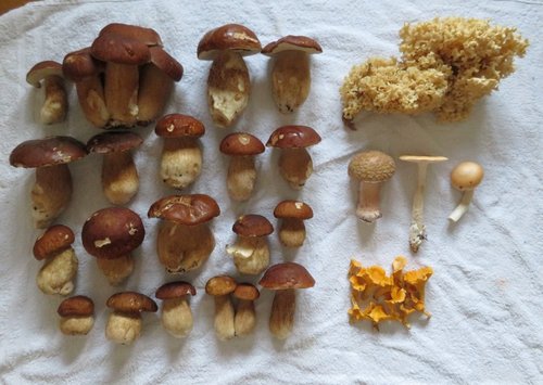 Fund Michael 29.10.22 Fund Michael 29.10.22