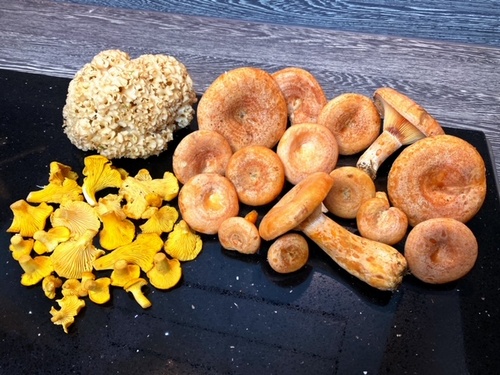 Gesamtfund; Foto Stefan 21.10.23 Gesamtfund; Foto Stefan 21.10.23