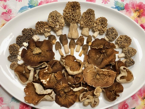 Fund Thomas 11.4.23 Fund Thomas 11.4.23