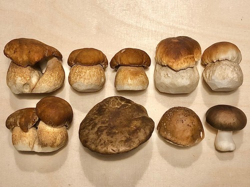 Fund Thomas 8.10.22 Fund Thomas 8.10.22