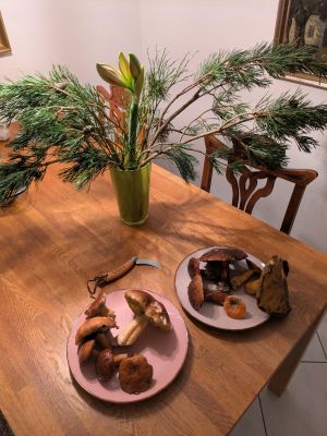 Jahresabschlussfund; Foto Véronique 16.11.25