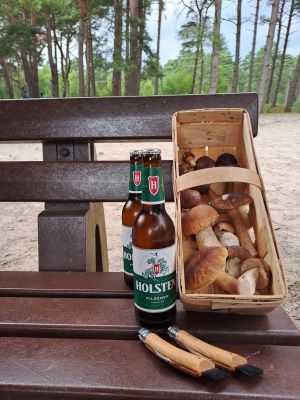 Steinpilz- und Maronenfund mit Holten Pilsener; Foto Dirk 7.8.25 Steinpilz- und Maronenfund mit Holten Pilsener; Foto Dirk 7.8.25