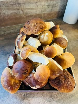 Geputzte Steinpilze; Foto Julius 18.10.25 Geputzte Steinpilze; Foto Julius 18.10.25