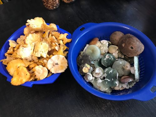 Gesamtfund; Foto Jürgen 3.8.24 Gesamtfund; Foto Jürgen 3.8.24