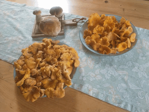 Gesamtfund von Michael; Foto Michael 15.9.23 Gesamtfund von Michael; Foto Michael 15.9.23