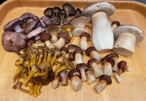 Gesamtfund von Ralf; Foto Ralf 12.11.23