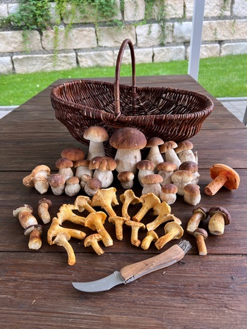 Gesamtfund Heiko 8.8.23 Gesamtfund Heiko 8.8.23