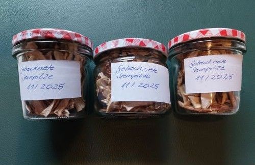Gläser mit getrockneten Steinpilzstsückchen; Foto Ivanka 19.11.25