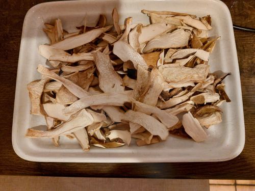 Getrocknete Steinpilzstücke; Foto Ivanka 19.11.25