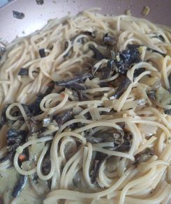 Herbsttrompeten mit Nudeln; Foto Heidrun 19.9.25