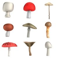 Illustration 35n Fotolia Illustration 35n Fotolia