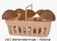 Illustration 17n Fotolia Illustration 17n Fotolia