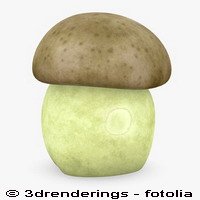 Illustration 2n Fotolia Illustration 2n Fotolia