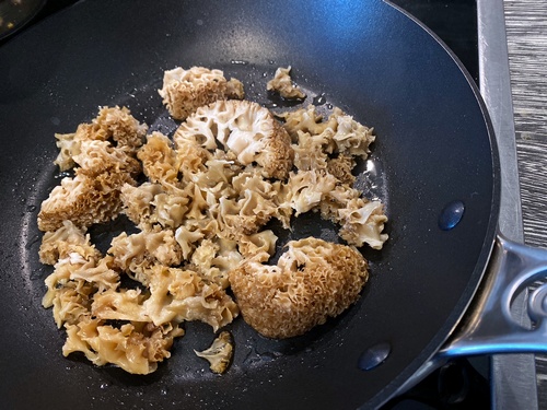 Krause Glucke angetaut in der Pfanne; Foto Stefan 12.9.23