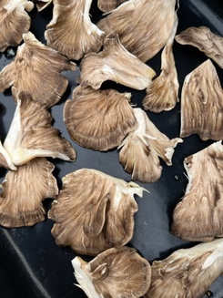 Klapperschwammzungen auf dem Grill; Foto Arnold 15.10.23 Klapperschwammzungen auf dem Grill; Foto Arnold 15.10.23