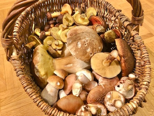 Korb3 Thomas 3.10.22 Korb3 Thomas 3.10.22