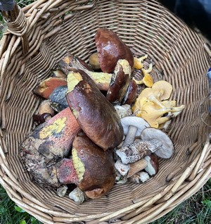 Korb Armin 22.10.22 Korb Armin 22.10.22