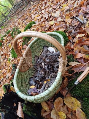 Korb mit Totentrompeten; Foto Heidrun 23.10.25