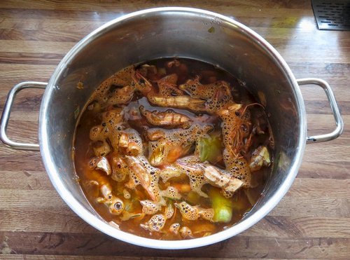 Krustentierfond Michael 12.4.23 Krustentierfond Michael 12.4.23